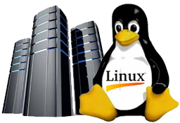 Linux Hosting